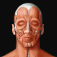 iPhone/iPadアプリ「Virtual Human Body」のアイコン
